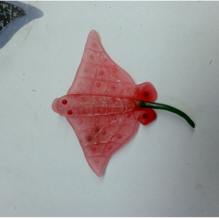 Gümüş Eagle Ray Deri Kordonlu Kolye