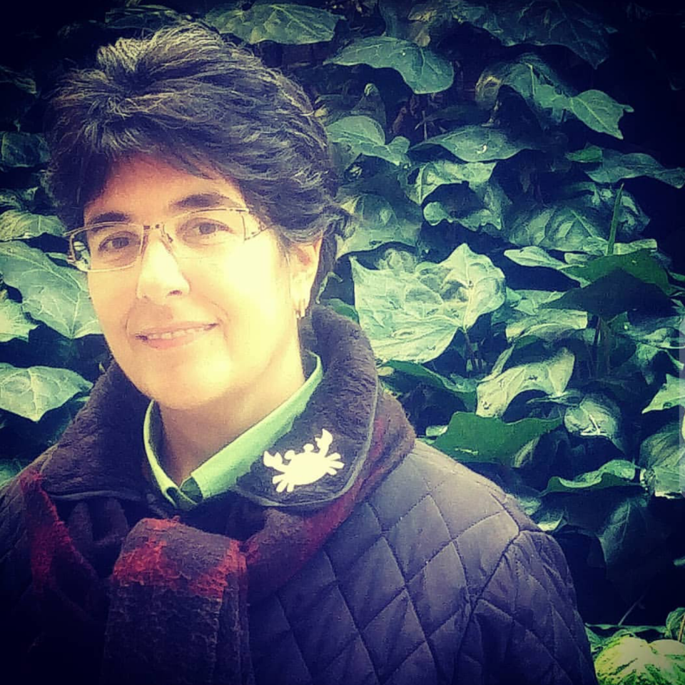 Yengeç Gümüş Kaplama Broş